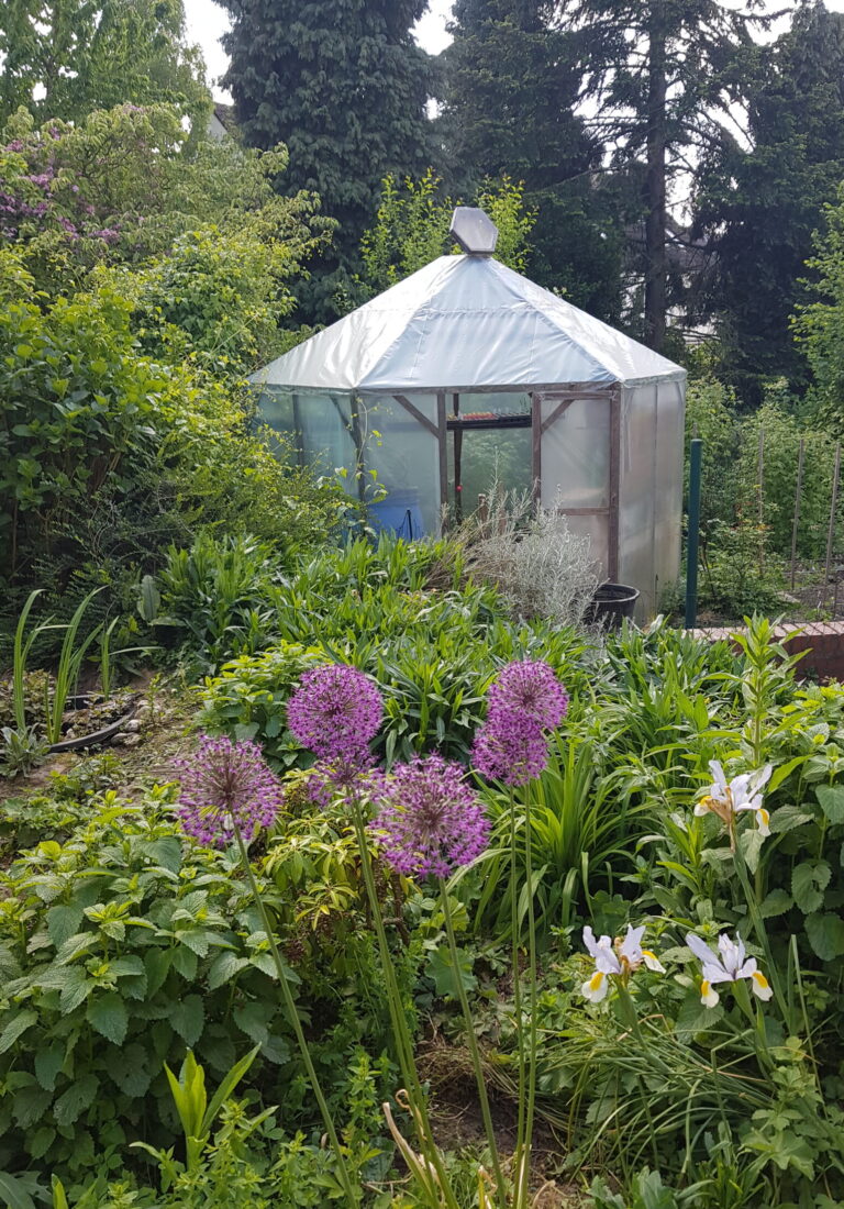 Foliengewächshaus im Unicornflowers Garten