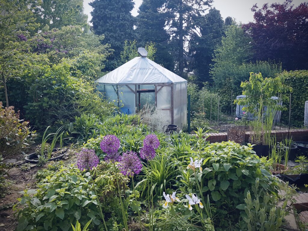 Unicornflowers-Garten mit Foliengewächshaus