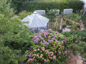 Blick von oben in den Unicornflowers-Garten mit blühenden Hortensien