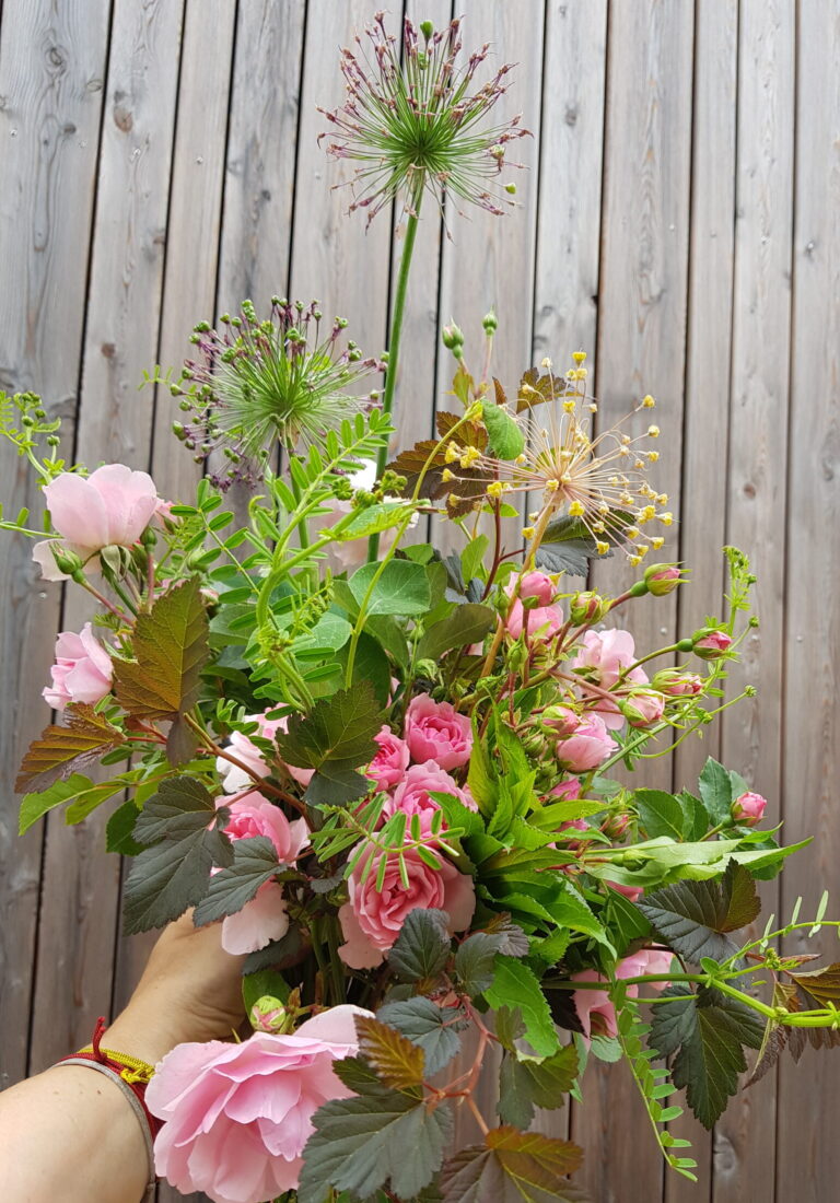 Rosarote Slowflower-Blumenvielfalt aus dem Unicornflowers-Garten