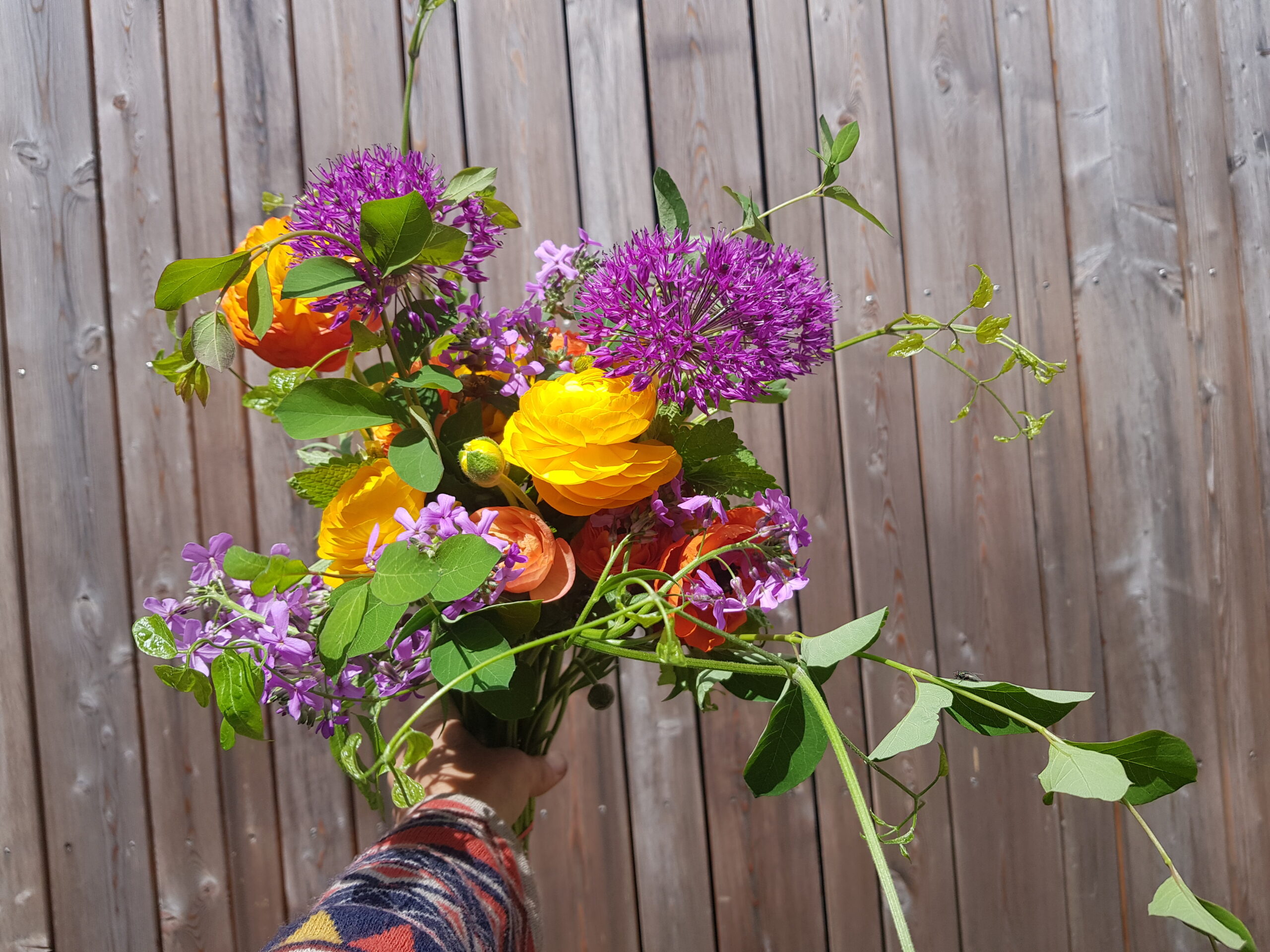 Ein bunter Slowflower-Strauß aus dem Unicornflowers Garten