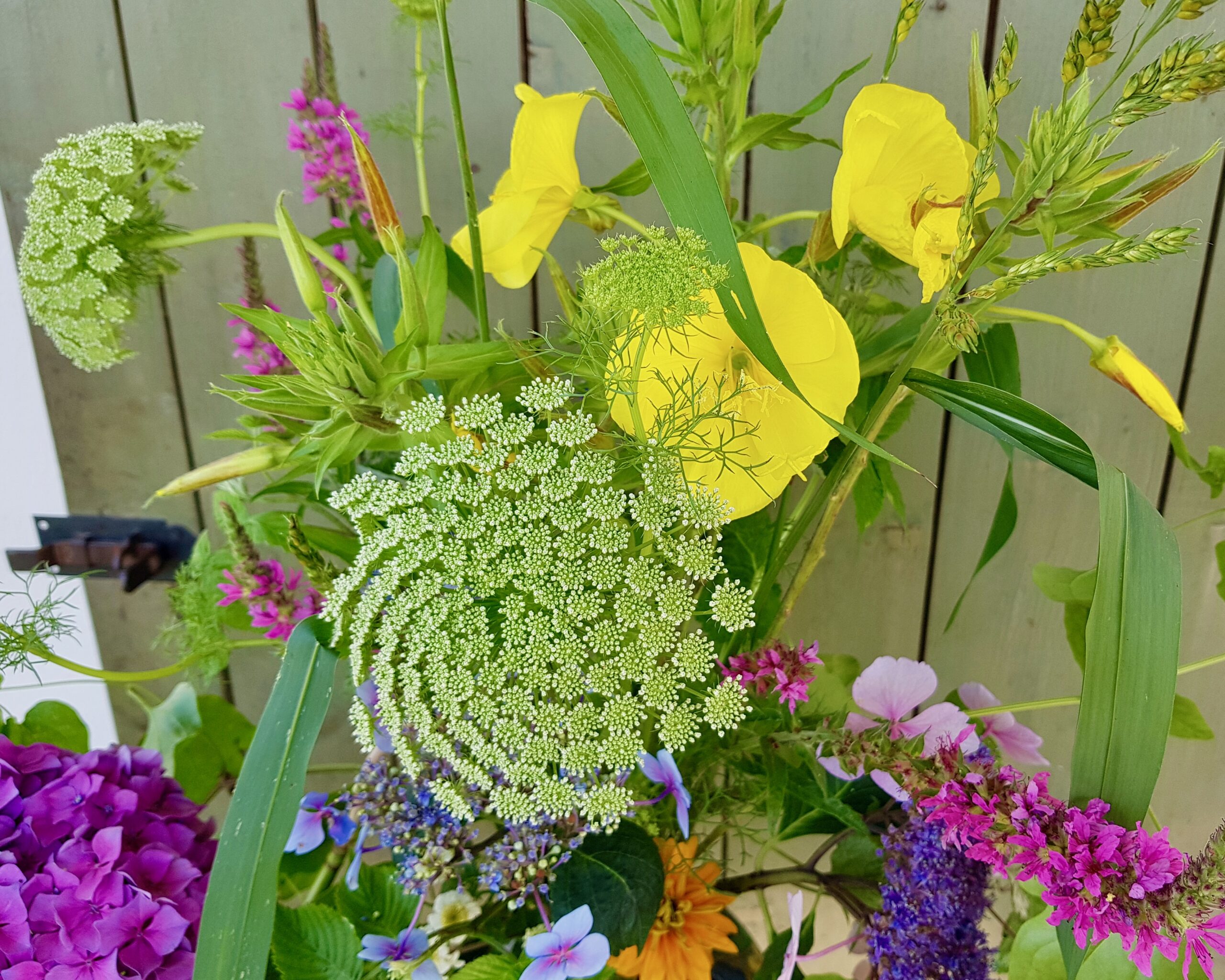 Detailbild Unicornflowers Sommerstrauß aus Slowflowers mit Ammi visagna und Nachtkerzen