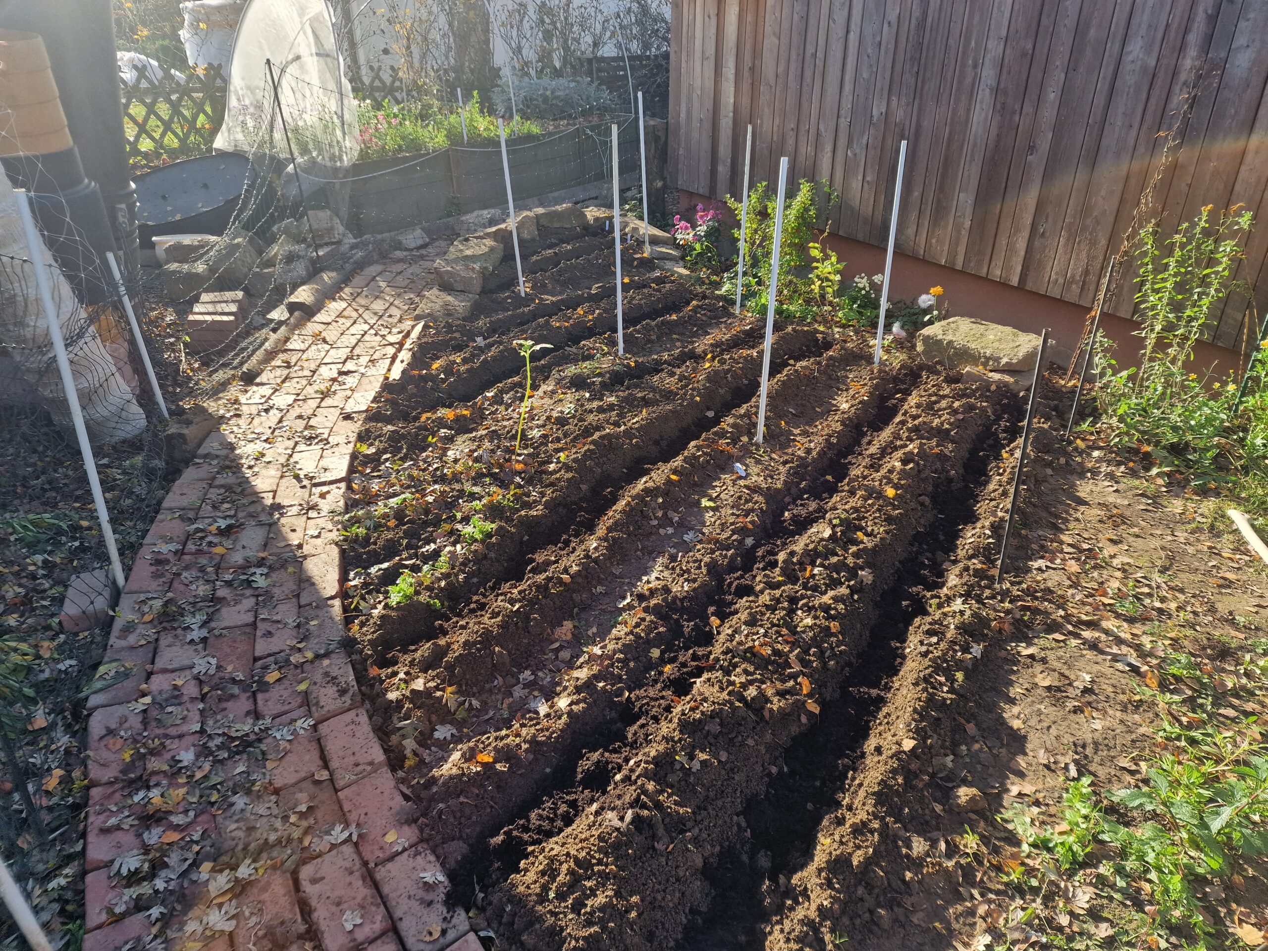 Im Vorgarten von Unicornflowers vor der Garage habe ich neue Beete angelegt und eingesät und einen gebogenen Weg aus alten Ziegelsteinen gebaut als Upcycling-Projekt