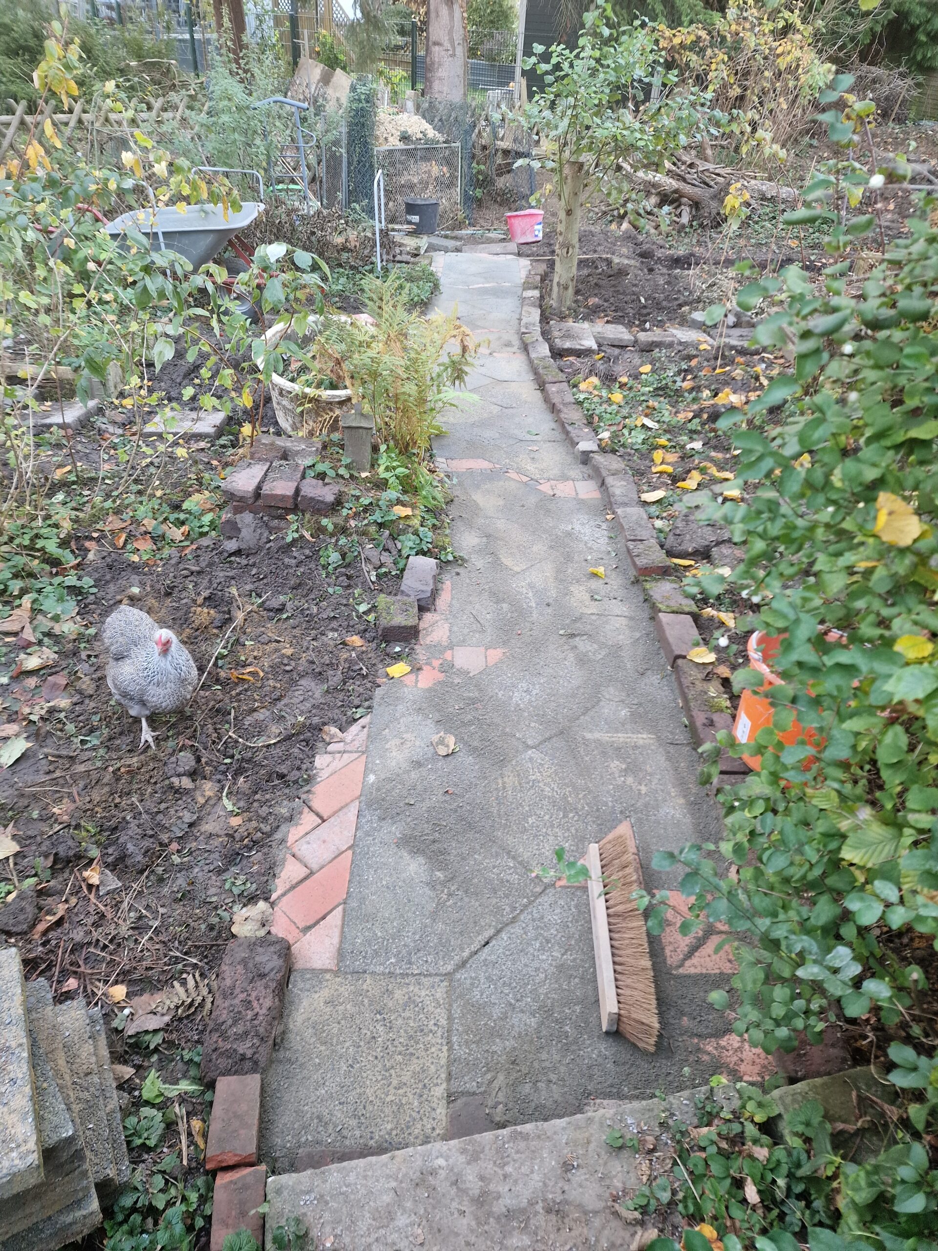 Der neue Weg mit Mosaikmuster im Unicornflowers Garten ist fast fertig gestellt, Huhn Elmchen nimmt in Augenschein, wie ich den Splitt einlege