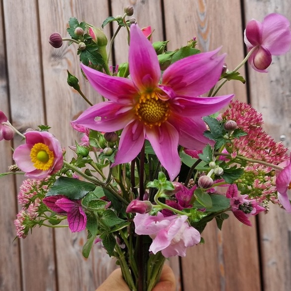 Unicornflowers bietet ein Blumen-Abo an