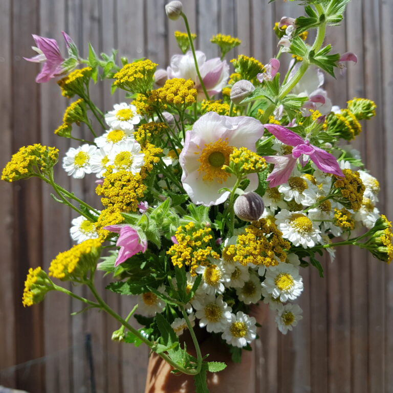 Sommerlicher Gartenbund aus dem Unicornflowers Garten mit Anemonen, Schopfsalbei und Mutterkraut in weiß/rosa/gelb mit goldfarbener Duftgarbe