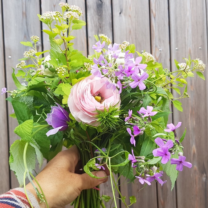 als Mitglied des Blumen-Klübchens von Unicornflowers kaufst du einen Blumenanteil